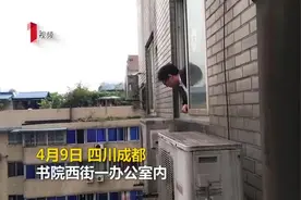 空调外机内藏一窝幼鸟，10多位“鸟妈妈”争相喂养，专家却这么说……图片