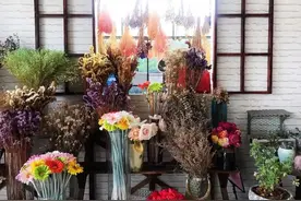 崇明这个生态村旧貌换新颜，将现1200亩玫瑰主题公园图片