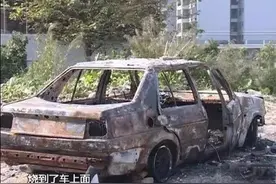 家长们警惕！烧车、炸井盖……孩子们手中的“玩具”太恐怖！图片