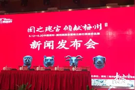 国宝来了！圆明园牛、虎、猴、猪4件兽首在梅州展出！图片