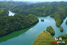 株洲县凤凰山国有林场获评“湖南省秀美林场”图片