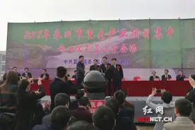 2018年蓝山申报27个市重点项目 计划总投资177.94亿元图片