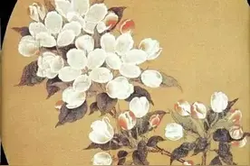 长安电台草木志 | 海棠（下）图片