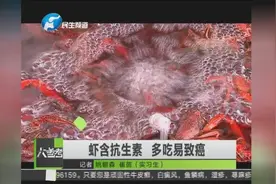 虾含抗生素 多吃易致癌视频封面