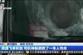 高速飞来轮胎 司机神躲避救了一车人性命视频封面