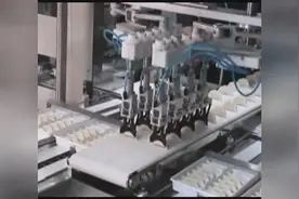金美乐：实力厂家全自动饺子机演示视频封面