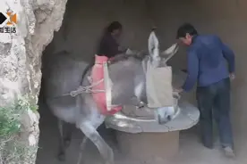 消失的乡村记忆之：驴拉磨视频封面