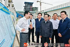 陈武实地检查南流江流域水环境综合整治工作图片