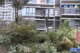 无奇不有！宝山一居民迷信风水窗户张贴八卦图 强行推平绿化带引众怒图片