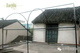 家用6平米小花棚搭建全程分享，有露台的小伙瓣儿们快看过来~图片