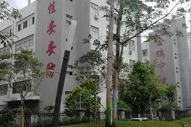 深圳龙华大浪，实拍附近工厂，感叹这里工厂很多视频封面