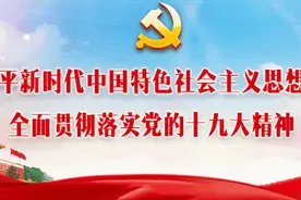 政务速览｜媒体聚焦佛山“一环创新圈”｜市公安公布粤X、Y换粤E牌全解图片
