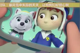 旺旺队：暴风雪中失踪的天天，让狗狗们好担心啊视频封面