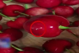 网传樱桃爬出蛆？专家：果蝇幼虫，无毒无害可放心食用视频封面
