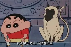蜡笔小新剧场版：小新迷路问猴子，遇猛兽，搭火车，最后竟这样？视频封面