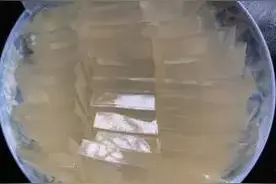 涨知识原来鱼鳞的作用这么大，而且还是美味佳肴图片