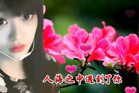 最美的相遇！太美了！网友手机自拍照片加自己唱的歌视频封面