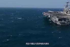 鲸鱼被航母的螺旋桨撞伤后，还能活得下去吗？看完真是揪心视频封面