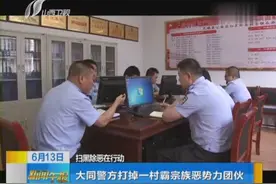 大同警方打掉一村霸宗族恶势力团伙视频封面