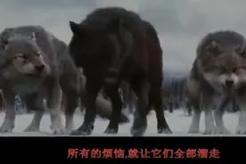 看哭了，国外很火的一首曲子《Nothing On  You》，超好听视频封面