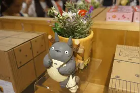 宫崎骏的动画公仔太可爱了，忍不住想全部买下来视频封面
