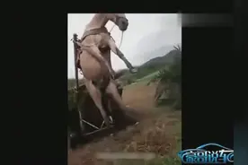 中国最牛农村大爷，开“法拉利”下地干活！图片