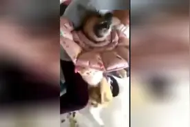 狗狗癫痫发作时主人死死抱住它，对它不离不弃有点心酸有点暖心！视频封面