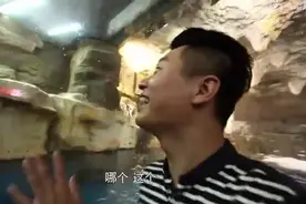 动物王国漫游记图片