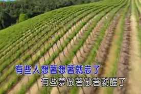庄心妍《走着走着就散了》习惯人群中找你的影子，回想幸福的日子图片