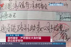 潮州潮安：严厉查处大贪村霸 群众拍手称快视频封面