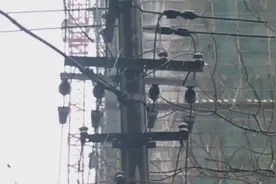 难得一见的高压线短路爆闪！图片
