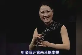 豫剧《打金枝》劝万岁莫要动真气图片