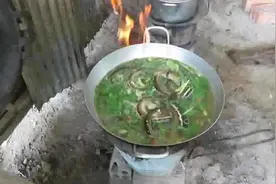 逮了好多黄鳝，到家炖了一锅，又用夹子烤了好多图片