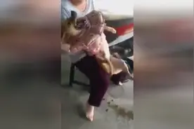 狗狗发癫痫超恐怖的一幕，主人却一直抱着它不离不弃视频封面