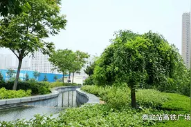 高铁泰安站广场开展系列维修改造工作 面貌焕然一新图片