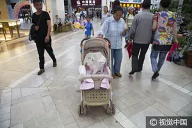 吉林：宠物狗坐婴儿车“逛商场”，享受公子哥待遇图片
