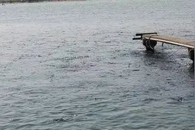 鱼浮头靠边先检查有无寄生虫，大水面养殖忌盲目用药 | 今日渔行家图片