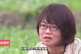 皂角如何育苗？皂角种子育苗技术要点视频封面