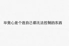 既然我如此相信，我就再等等你图片