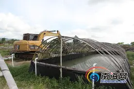三亚海棠区3家青蛙养殖场污染地下水 被依法强拆图片