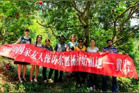 从没见过杨梅的老外开眼界了！8个国家留学生黄岩比赛吃杨梅，结果图片