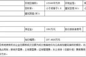 东方影都旁超10万㎡科教用地底价出让图片
