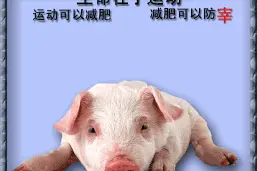 活着就要动！图片