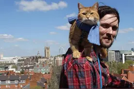 《遇见街猫Bob》电影版 伦敦流浪汉与猫的传奇故事图片