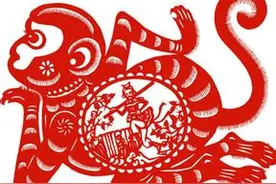 如果今年是你本命年，你最注重什么？图片