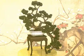 形神兼备！我的世界玩家作品：松树小盆景图片