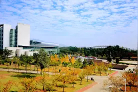 浙师大高职单考单招所有专业投档线均列全省第一图片