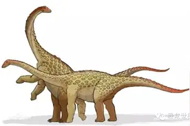 恐龙的盔甲图片