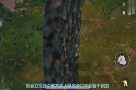 绝地求生：绝地实用教学，爬树上房，样样精通！