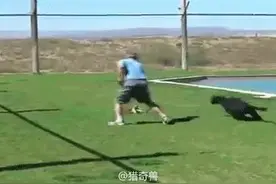 主银你太坏了！不带这么调戏小狗狗的，汪！图片